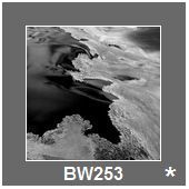 BW253