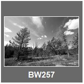 BW257