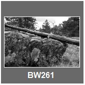 BW261