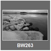 BW263