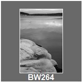 BW264