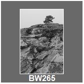 BW265