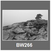 BW266