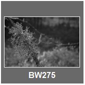 BW275