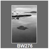 BW276