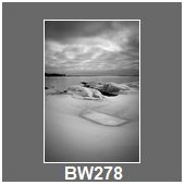 BW278
