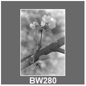 BW280