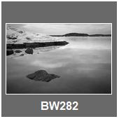 BW282