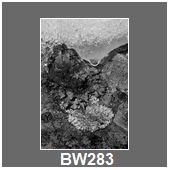 BW283