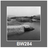 BW284