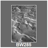 BW285
