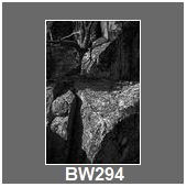BW294