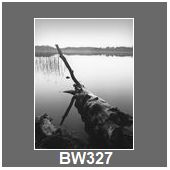 BW327