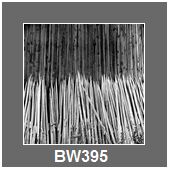 BW395