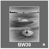 BW39
