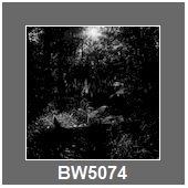BW5074