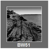 BW51