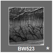 BW523