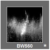 BW560