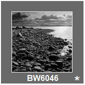 BW6046