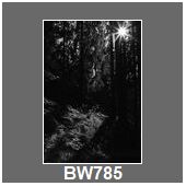 BW785