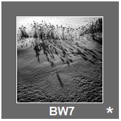 BW7