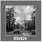 BW826