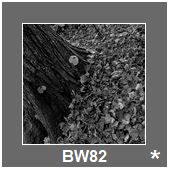 BW82