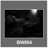 BW854