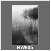 BW905