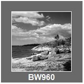BW960