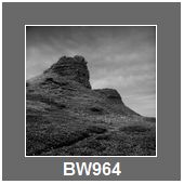 BW964