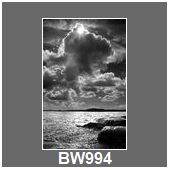 BW994
