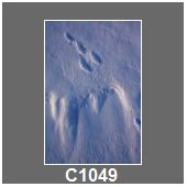 C1049