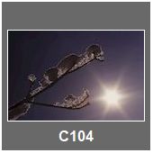 C104