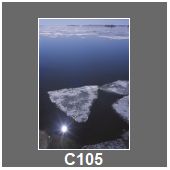 C105
