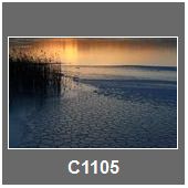 C1105
