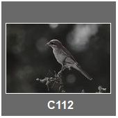 C112