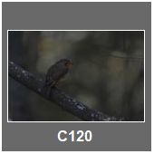 C120