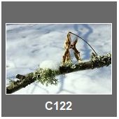 C122