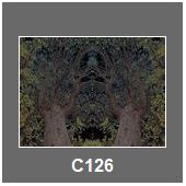 C126