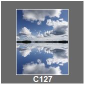 C127