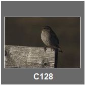 C128