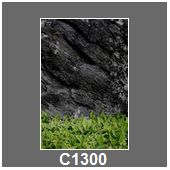 C1300