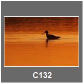 C132