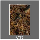 C13