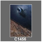 C1456