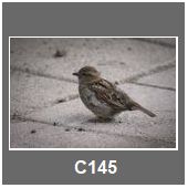 C145