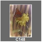 C148