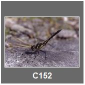 C152